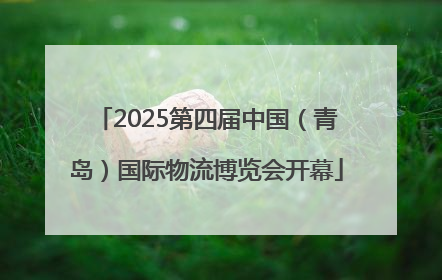 2025第四届中国（青岛）国际物流博览会开幕